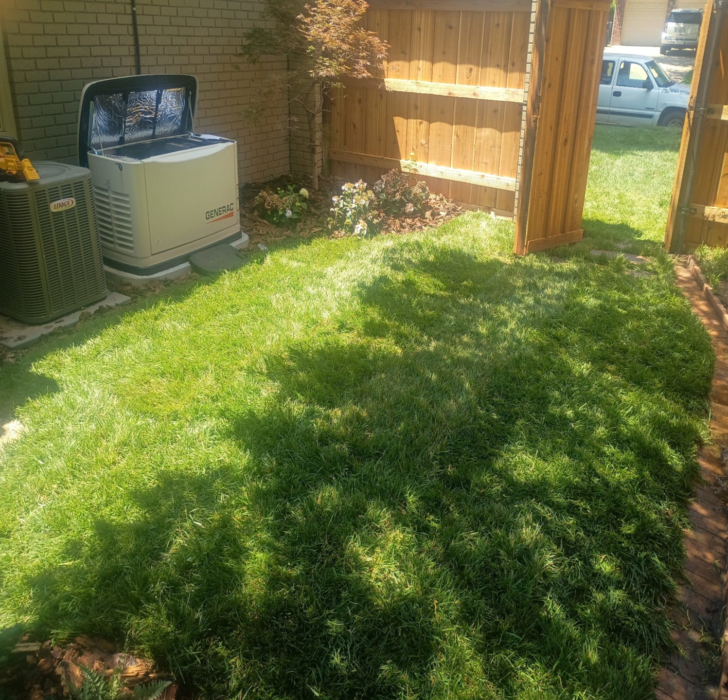 sod installation after