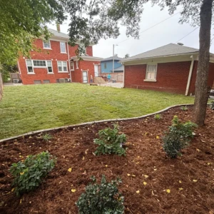 landscape design service