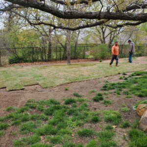 landscape team